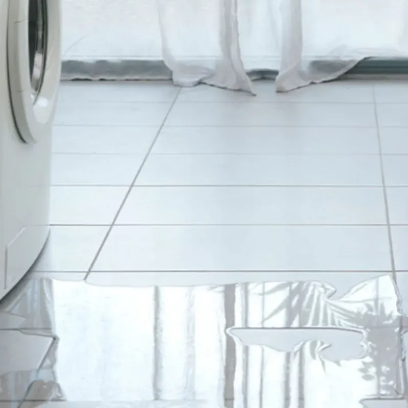 Appliance Leak Cleanup in Clarkston, MI