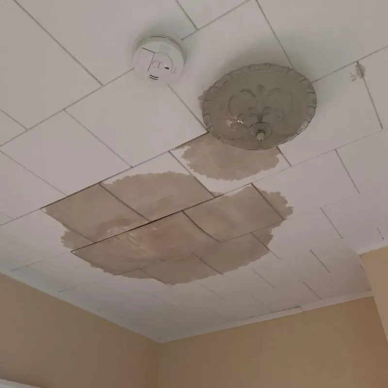 Ceiling Water Damage Repair in Clarkston, MI