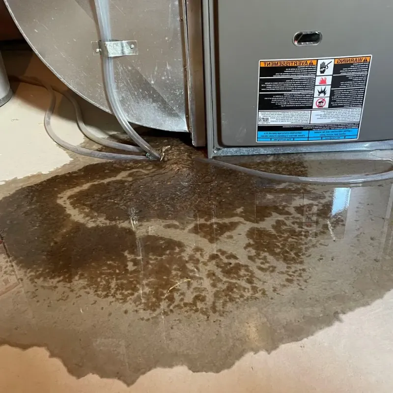 Pipe Burst and Leak Restoration in Clarkston, MI
